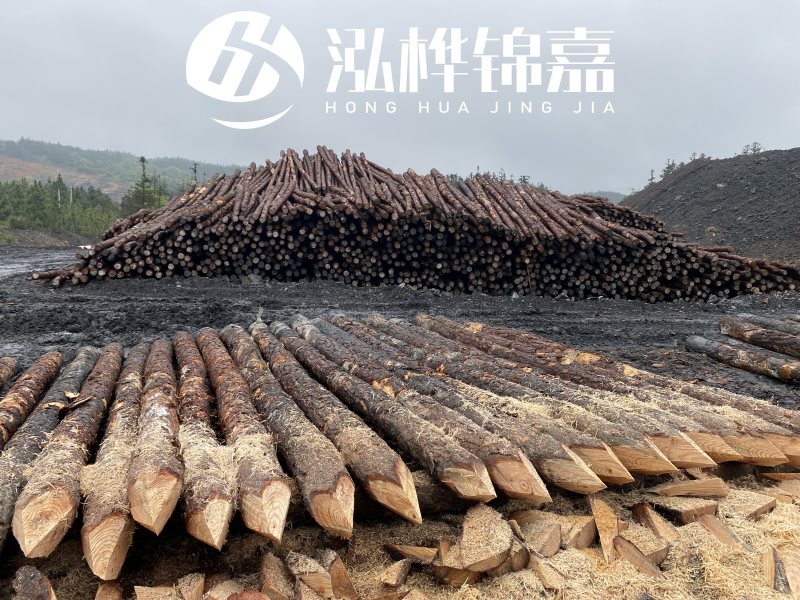 6米長(zhǎng)松木樁有哪些作用，多少錢(qián)一根？