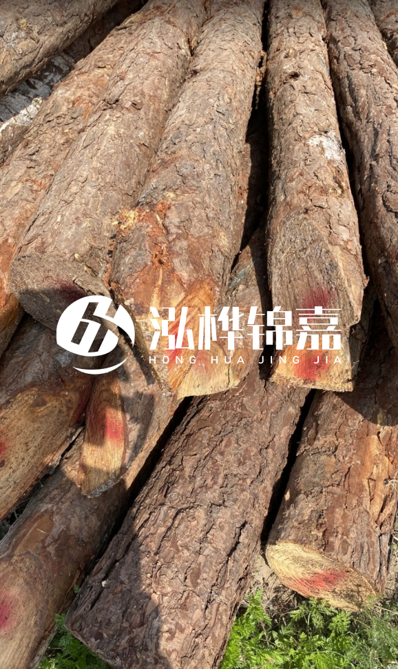 <strong>松木樁和杉木樁的用途區(qū)別？哪個更適合打樁用？</strong>