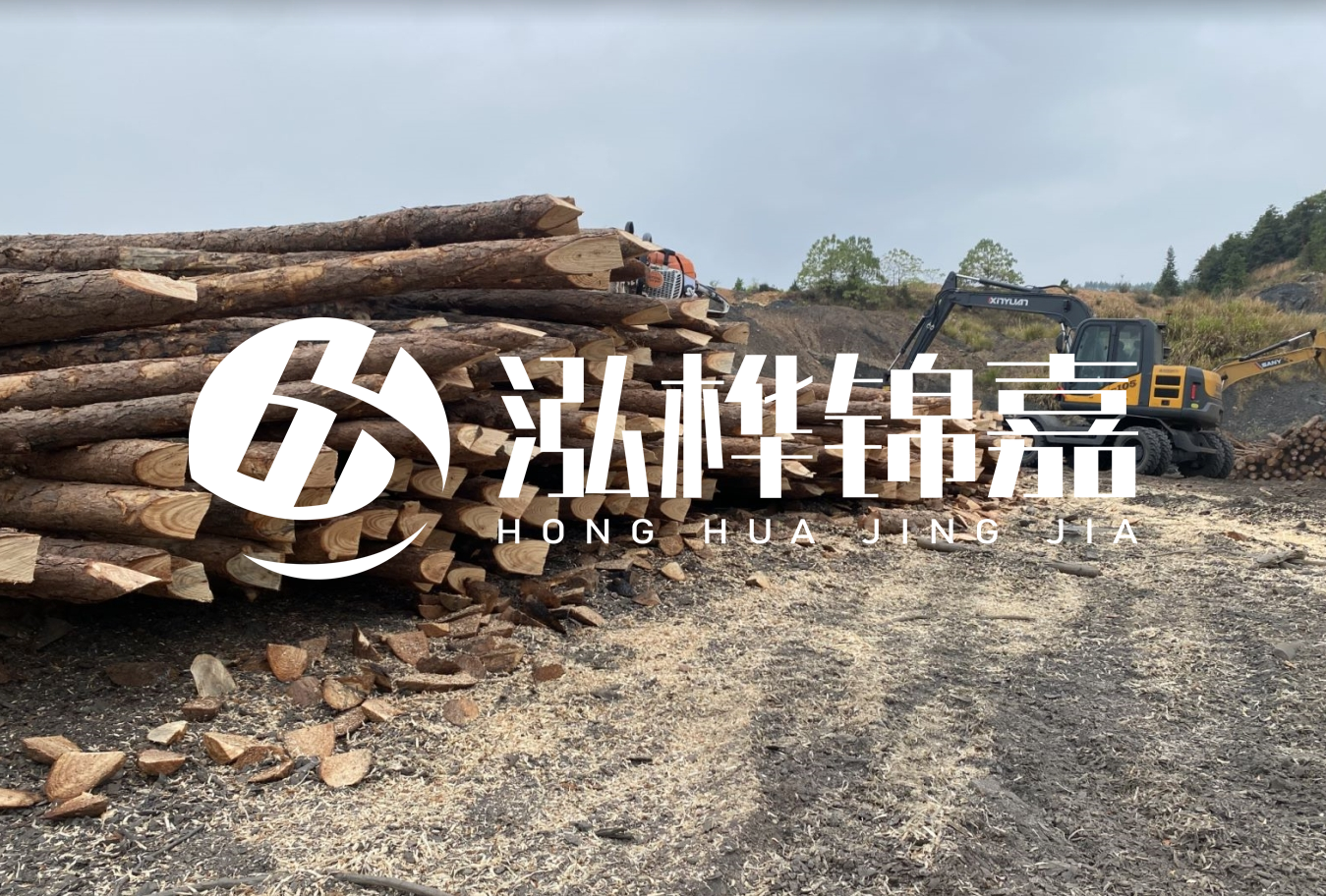 松木樁尾徑是什么意思？