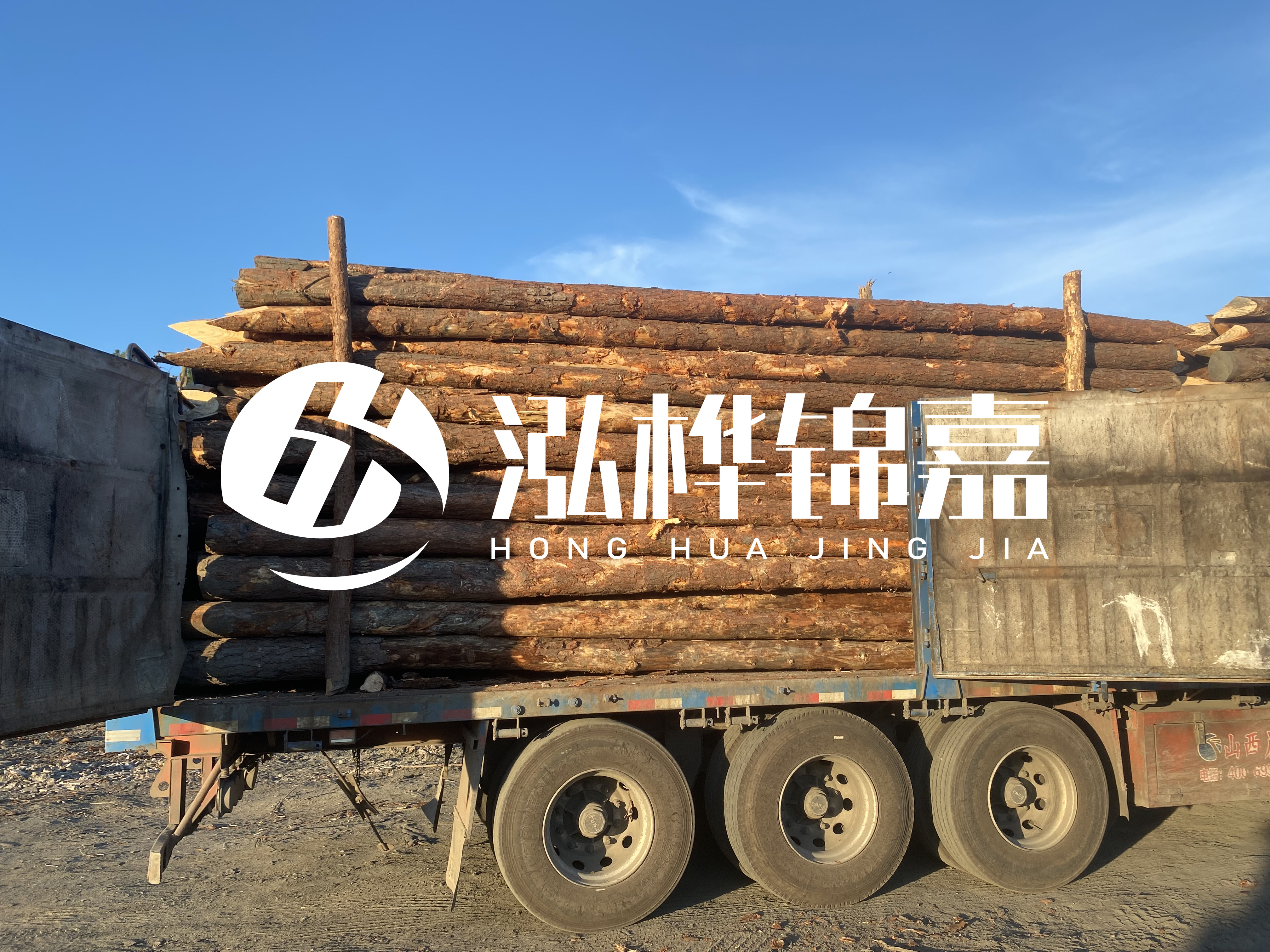 河道治理為什么要用松木樁？