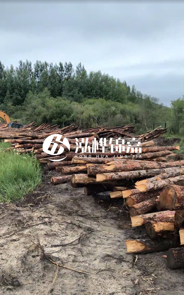 甘肅河道清淤工程公司-為什么要進行河道清淤？