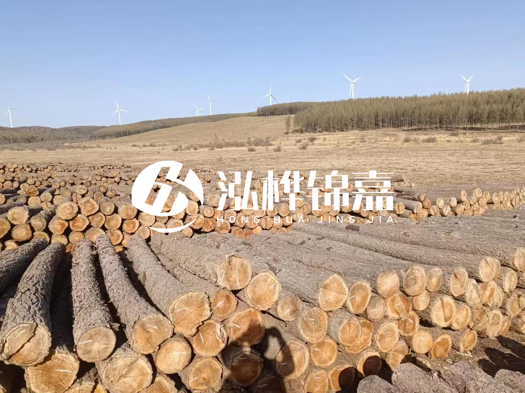 咸寧松木樁源頭廠家-哪里能買(mǎi)到質(zhì)量好的松木樁打樁木？