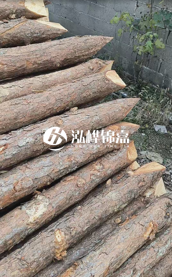 松木樁哪里能大量供應(yīng)？4米20公分松木樁價格是多少？