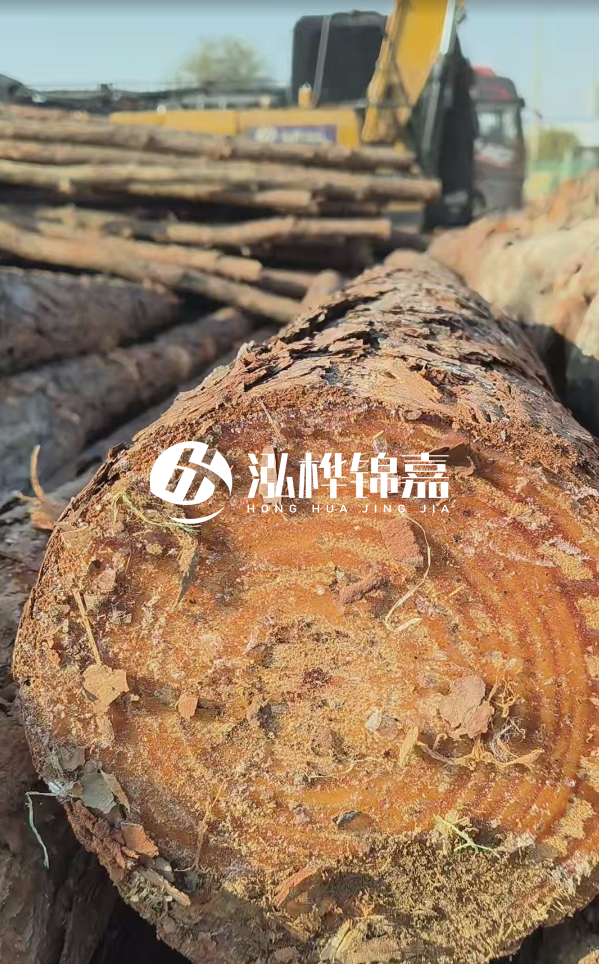 杉木樁價(jià)格多少錢一方-3米直徑14公分杉木樁價(jià)格？