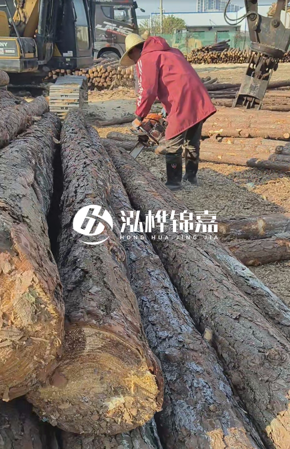 長(zhǎng)沙打樁木批發(fā)廠家在哪里？聯(lián)系方式是什么？