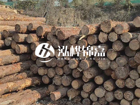 落葉松木材的主要產(chǎn)地在哪里？為什么比其他松木更耐腐蝕？