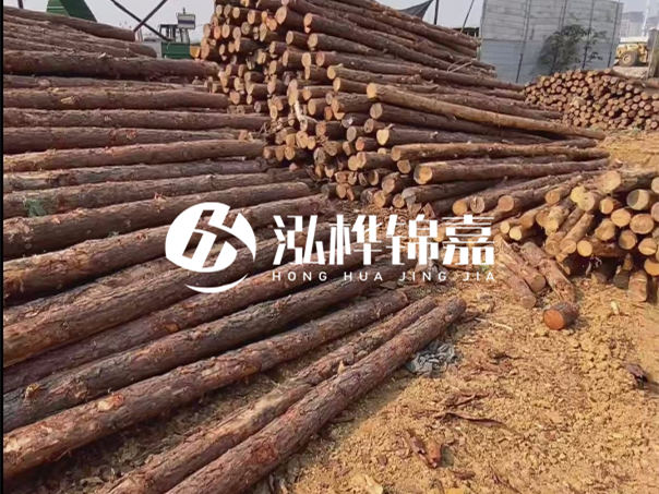 河道木樁施工遇到淤泥怎么辦？打多深才能防沖刷？
