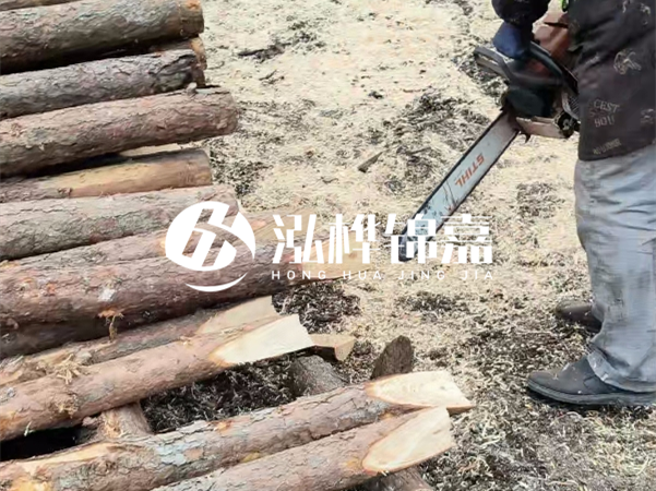 杉木樁批發(fā)廠家哪家好？產(chǎn)地直供渠道推薦！