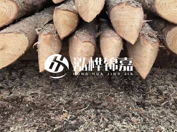 打樁木樁與鋼樁相比有哪些優(yōu)缺點(diǎn)？如何進(jìn)行后期維護(hù)？