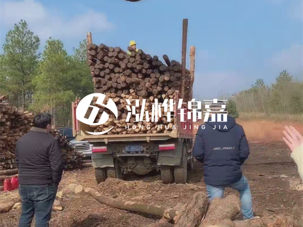 松木樁價格是按米算還是按根算？6米松木樁批發(fā)價每根多少錢？