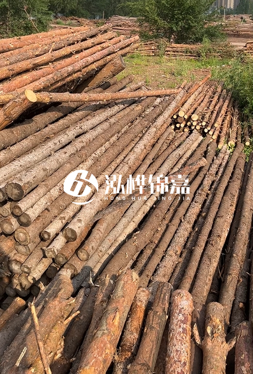 如何選擇合適的松木樁廠(chǎng)家？采購(gòu)松木樁需要考慮的因素有哪些？