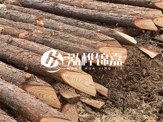 松木樁削尖的費用怎么算？按根收費還是包含在單價里？
