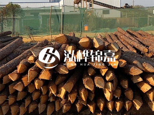 松木樁6米15cm打樁多少錢一根-專業(yè)打木樁隊聯(lián)系電話？