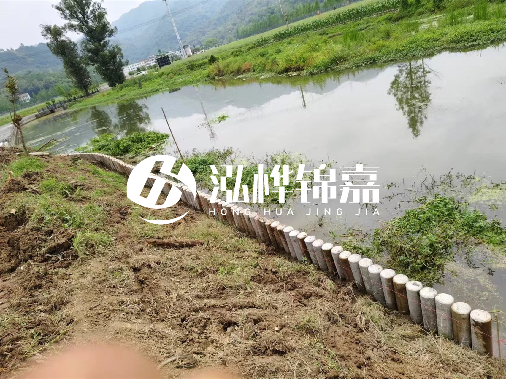 松木樁加固河道與水泥樁對(duì)比如何？哪一種更加適合您？