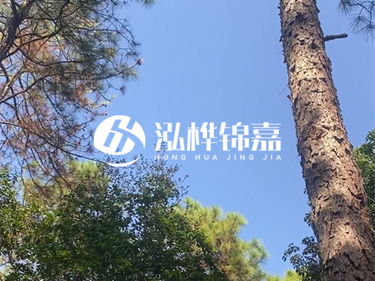 松木樁廠家的供貨能力強(qiáng)不強(qiáng)-怎么才能聯(lián)系到松木樁廠家？