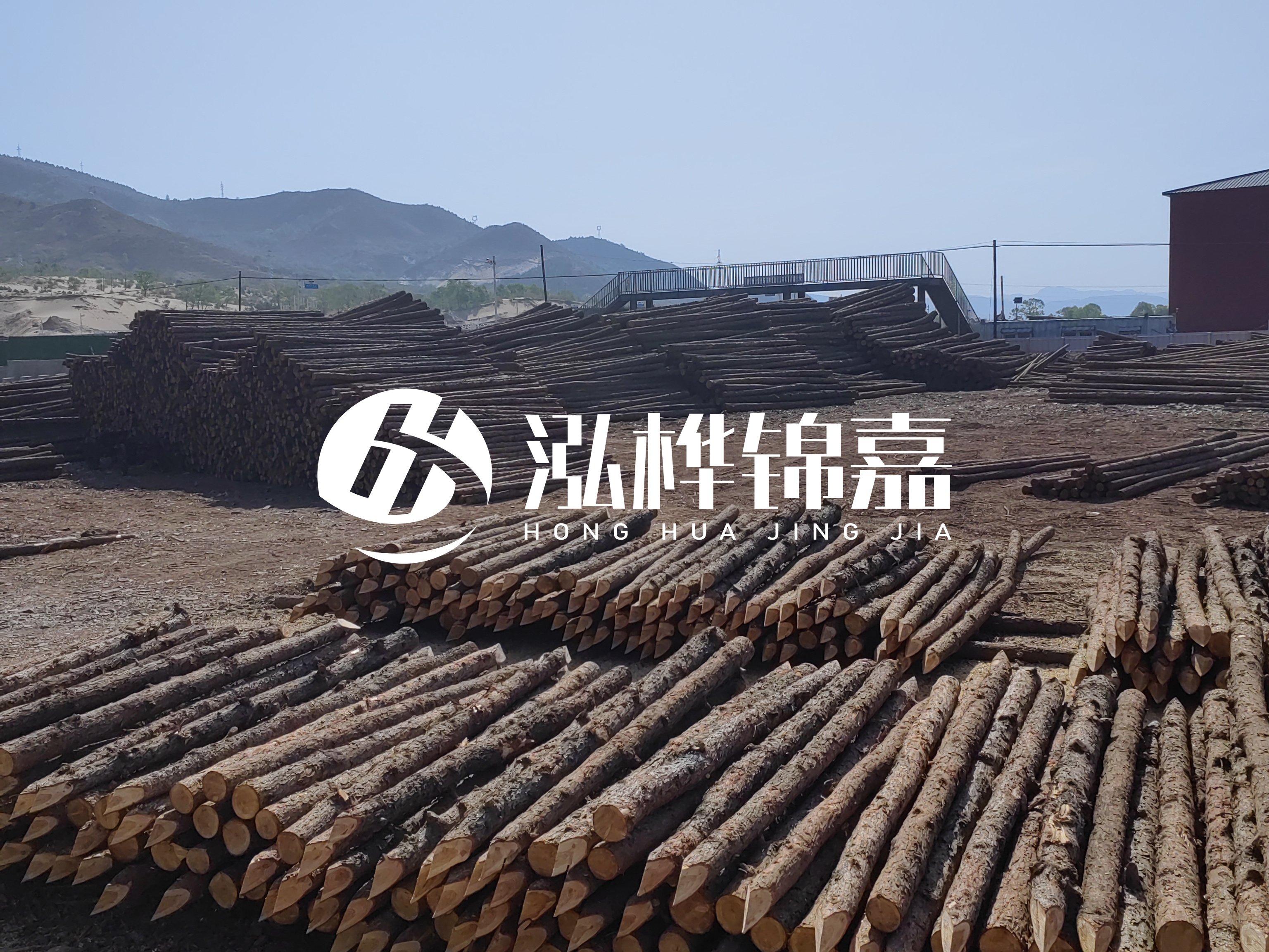 江蘇打樁木源頭廠家泓樺錦嘉-4米打樁木大頭14-16小頭一般多少？