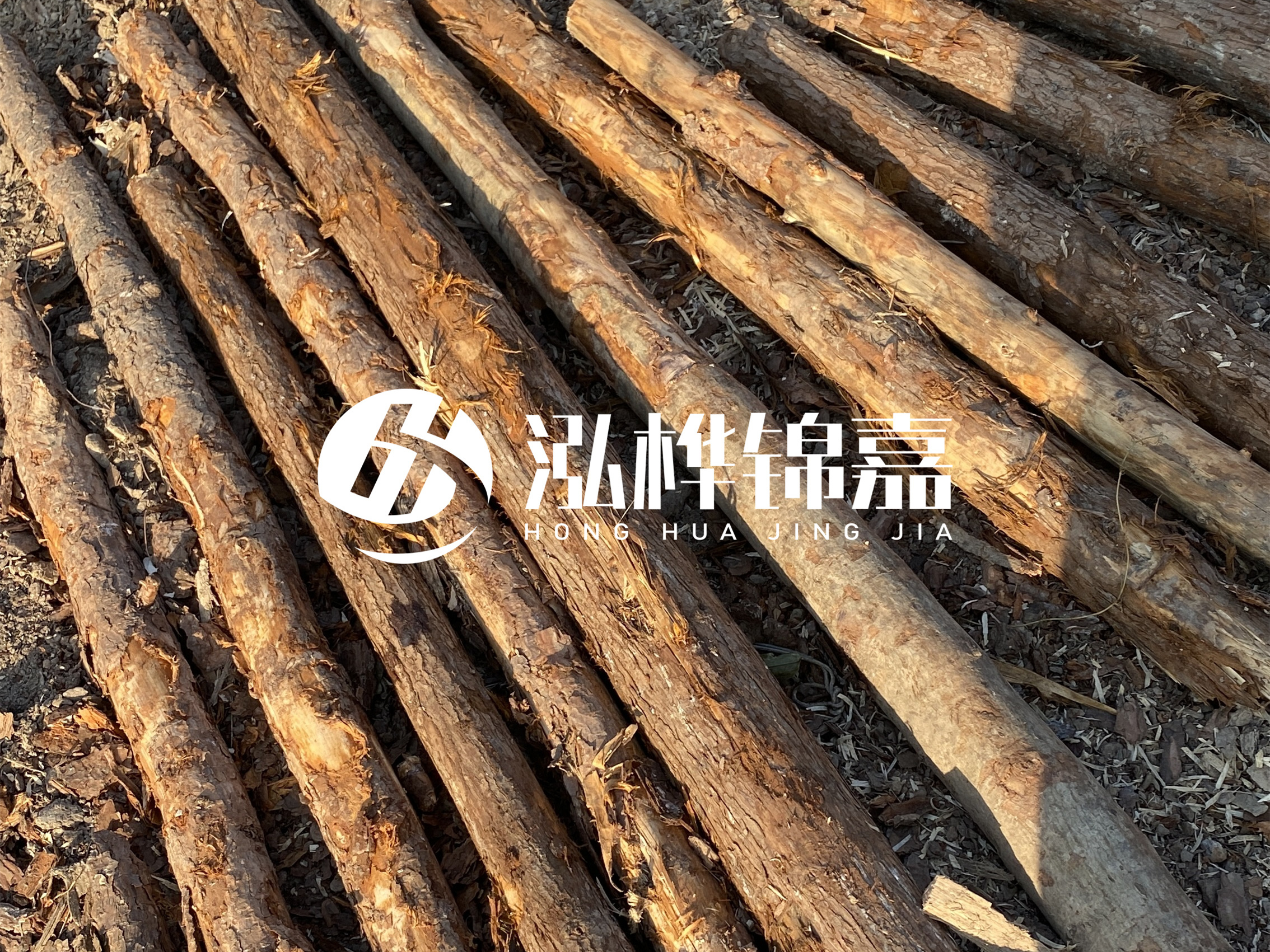 河道木樁多少錢一根？河道木樁的使用以及保養(yǎng)方法?