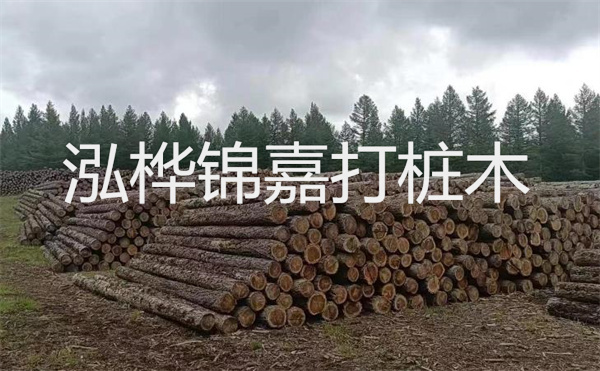 選擇紅磚護(hù)坡，打造獨特的美麗景觀