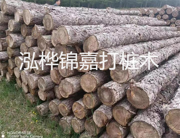 高效修補，保駕護(hù)航！水泥路面高強度修補料為您解決煩惱！