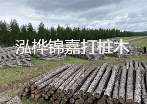 鋼結(jié)構(gòu)施工方案大全免費提供，助力工程建設(shè)