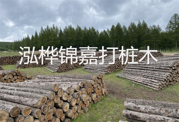 預(yù)制松木樁施工工藝：優(yōu)質(zhì)材料，高效快速，堅(jiān)固耐用