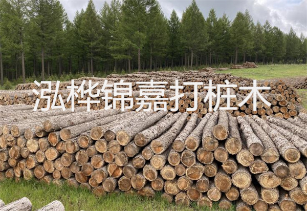 松木樁能施工嗎？探究視頻揭秘真相！