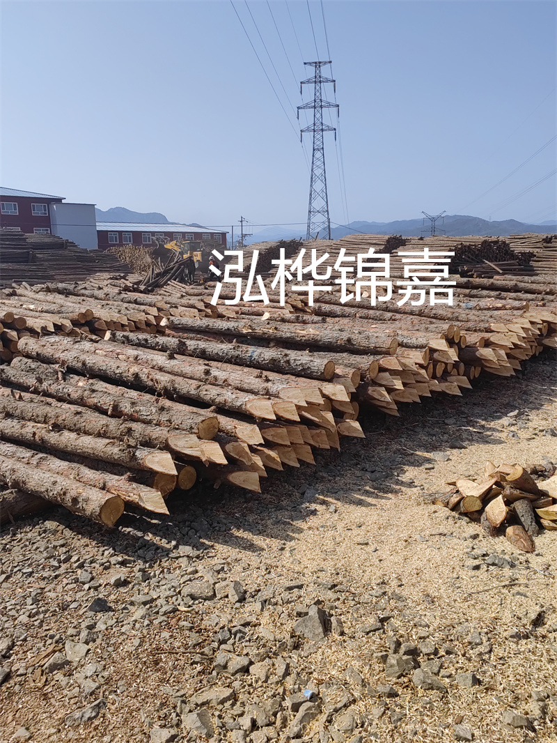 深入了解松木樁基礎(chǔ)施工單價(jià)，助力工程建設(shè)順利進(jìn)行！
