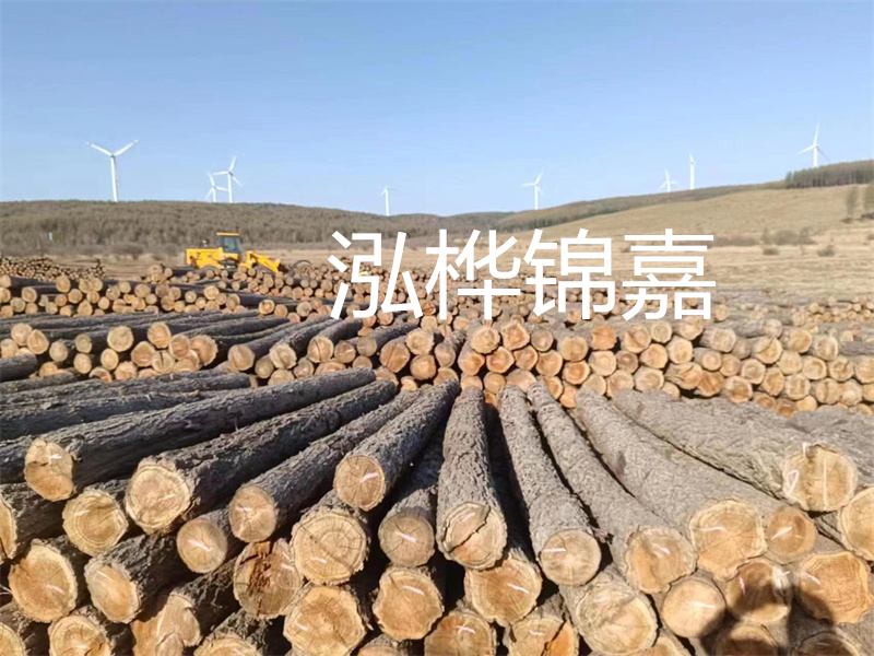 溫州松木樁施工廠家——為您打造堅(jiān)固穩(wěn)定的建筑基礎(chǔ)！
