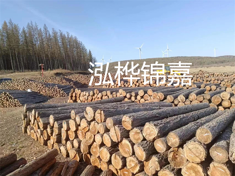 用路基松木樁施工方案提升工程質(zhì)量描述：了解路基松木樁施工方案的重要性，提高工程質(zhì)量關(guān)鍵詞：路基松木樁，施工方案，工程質(zhì)量