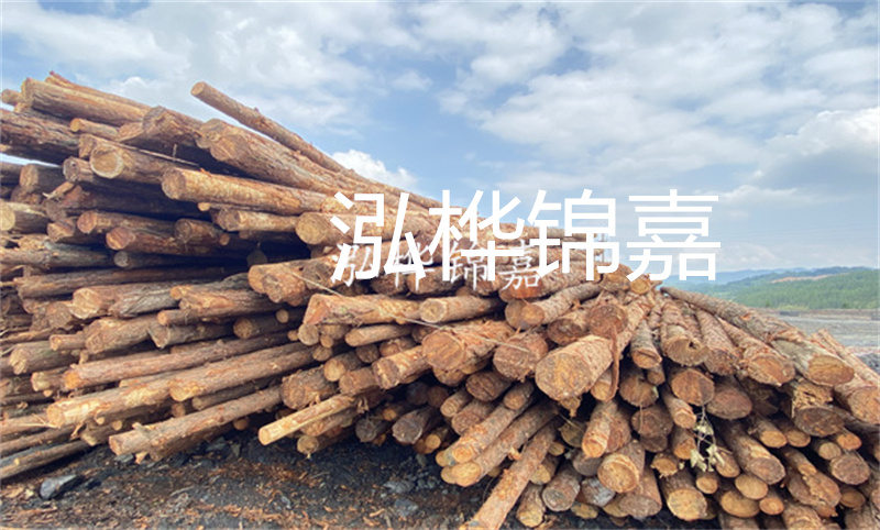 濮陽松木樁，卓越品質(zhì)，安全可靠