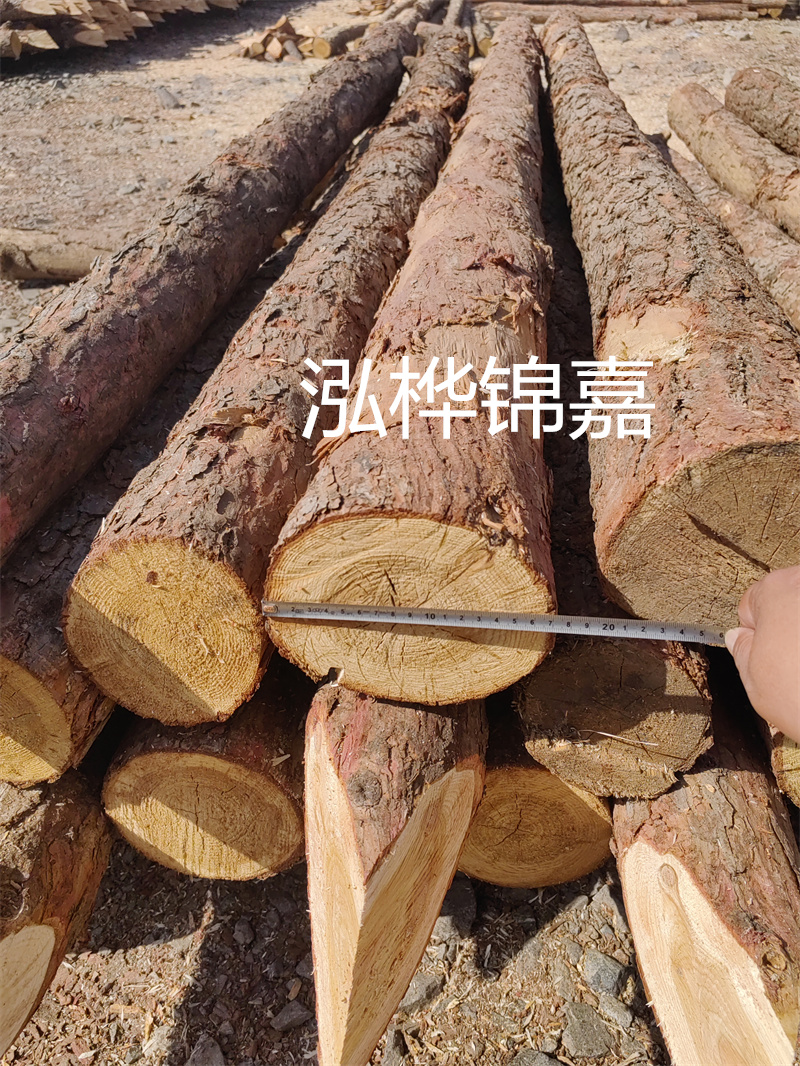 福建哪里買松木樁？