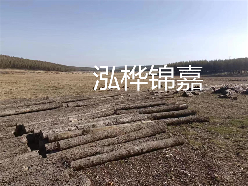 鄂州松木樁哪里好？推薦泓樺錦嘉松木樁業(yè)！